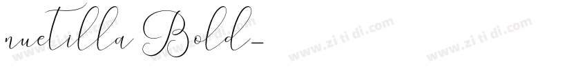 nuetilla Bold字体转换